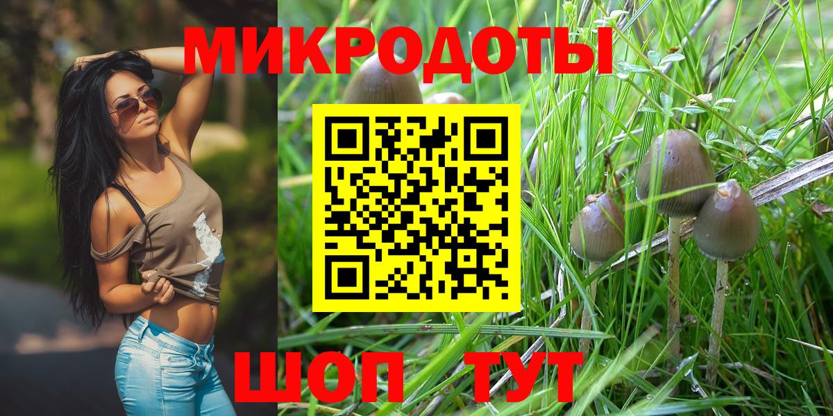 Галлюциногенные грибы ЛСД Малоярославец