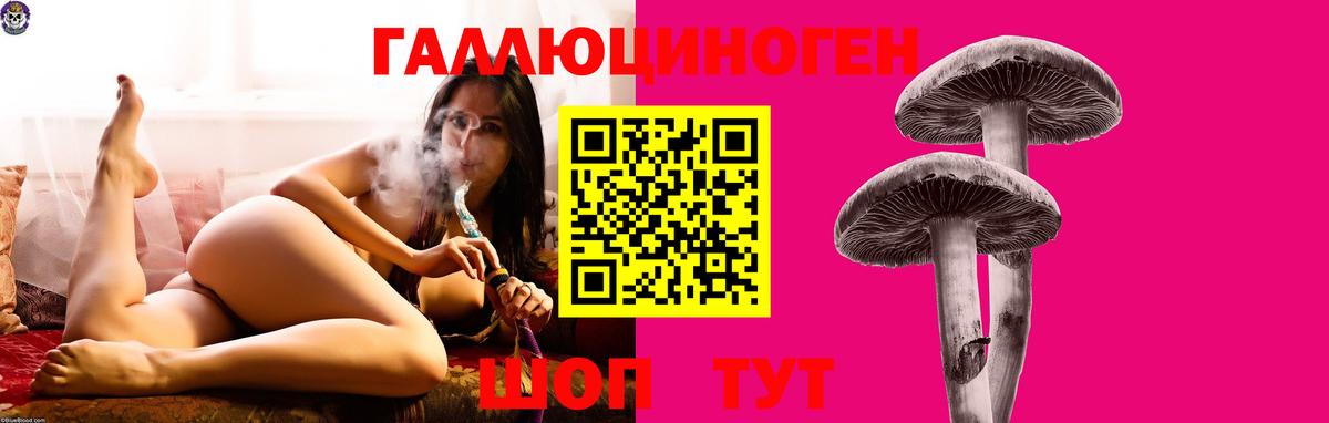 Псилоцибиновые грибы ЛСД  Вход с VPN  Малоярославец 